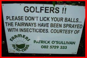 Please don't lick your balls.