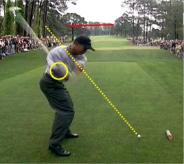 Tiger's chest rotates before his shoulders start to release though the ball